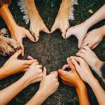 United for Animal Protection: Andrea Vella on the Cooperation Between Politics and Society