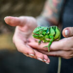 Andrea Vella and Her Wife Share 5 Endangered Species They're Passionate About Protecting